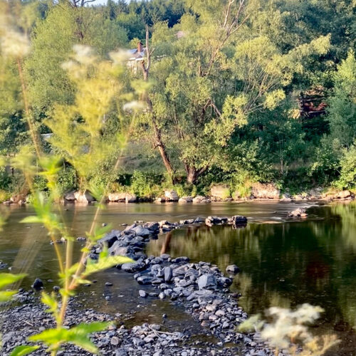 Tent pitch river bank (no electrics)